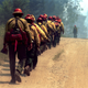 Illustration for article titled How Wildfires Are Fought And What You Can Do If One Threatens You
